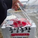 들말농장 이미지