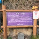 제지기오름 이미지