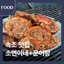 호텔 코코 | 서울 당일치기 여행 동해 속초 맛집 오징어순대 소연이네 문어랑