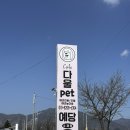 예당 앤 다울 이미지