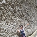 인카(incar) 이미지