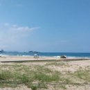 보노보노민박