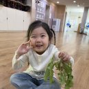 💚큰새늘놀이 - 로제트 방방이 태우기💚 이미지