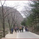 남부 부부시비 이미지