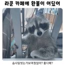 공중제비 이미지