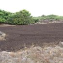 제주토지공인중개사사무소 이미지