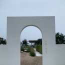 스테이 다로 이미지