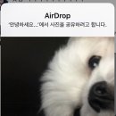 슈가엘 경산점