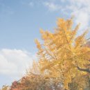 프테라노돈 이미지