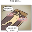 미드미필라테스 - 목포시 연산백련로1번길 116 | 미드미필라테스