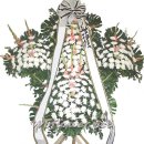 주안영안실 이미지