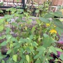 천지자동차공업사 이미지