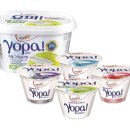 빙그레(일동) 이미지