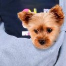 코코앤그레이 이미지