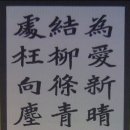 새신처럼 이미지