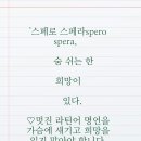 스페로스페라 이미지
