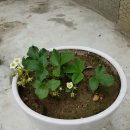 정희네 가게 이미지