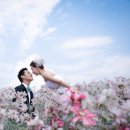 데이지스튜디오 이미지