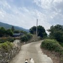 섬이랑나랑민박 이미지