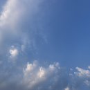 멕시카나 창포점 이미지