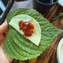 홍삼민물장어 | 부산 장어맛집 추천, 몸보신하기 좋은 '일백풍천민물장어 화명점‘ 후기