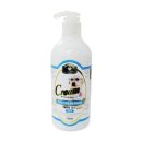 펫 다옴 이미지