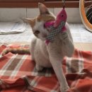 진월세차장 이미지