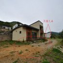 2019-주124 네이버블로그