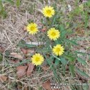 잿등공원 이미지