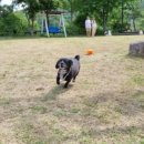 앤드퍼피 이미지