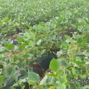 내몸사랑한의원 이미지