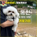 거북가든