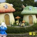 나는꽃 - 강남구 | 나는꽃