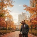 큰곰자리부동산중개그룹 이미지