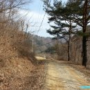 내린천의 봄 이미지