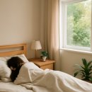 사랑이꽃피는한의원 | 사랑이 꽃피는 한의원 해운대 교통사고입원 단계별 관리 정보