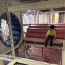 몬스터즈 | 세종 다정동 플라잉몬스터즈 키즈카페 후기｜아이 둘 데리고 다녀온 실내 놀이터