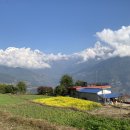 네팔 여행 중에 찍은 사진 몇장 이미지