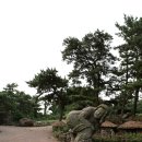 금능석물원 네이버블로그