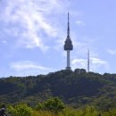 청사초롱 이미지