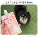 맘마독 | 내돈내산 닥터맘마 촵촵워터 솔직후기! 강아지 방광결석·음수량 늘리는 현실 꿀팁