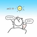 파인힐마트 | [2025.05.29~30] 파인힐 빌리지 느티나무1 오토캠핑하기