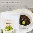 머리방울 | 13살 노견, 어떤 간식을 줘야할까?! (feat.댕그래 동결건조 방울양배추 솔직후기)