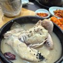 지호한방삼계탕 | 지호한방삼계탕 하남 효능 알고 맛있게 먹은 후기