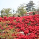 가야대학교(김해) 이미지