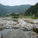 진동산채민박 이미지