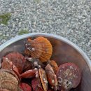 소리의섬 이미지