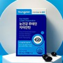 영진양행 이미지