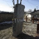 당목마을 당제 | 상거리당산은 월산천의 수구막이다