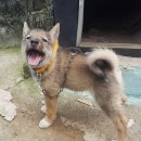 꼴통 Daum카페